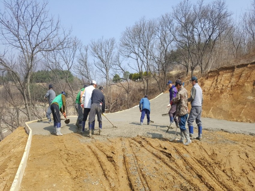 3.은풍면 새마을지도자회, 자조협동사업으로 농로포장 시행